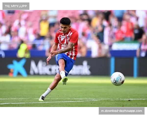 马竞新援阿尔马达多面属性 为西蒙尼战术提供更多选择